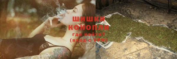 прущие грибы Белоозёрский