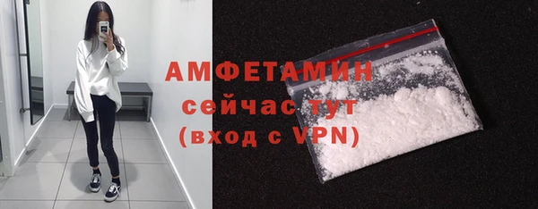 молекула духа Белокуриха