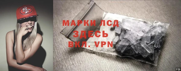 прущие грибы Белоозёрский