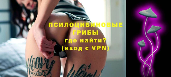 стаф Беломорск