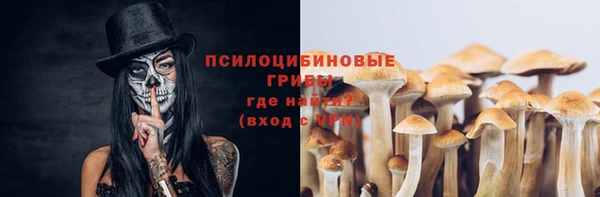 прущие грибы Белоозёрский