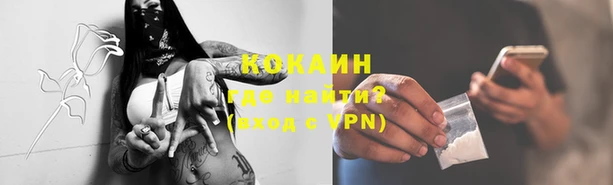 прущие грибы Белоозёрский