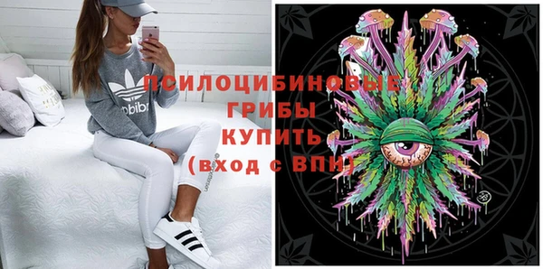 стаф Беломорск