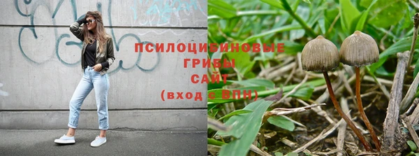 прущие грибы Белоозёрский