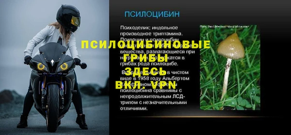 стаф Беломорск