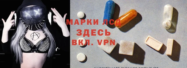 прущие грибы Белоозёрский