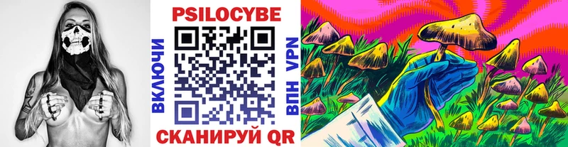 Псилоцибиновые грибы прущие грибы Салаир